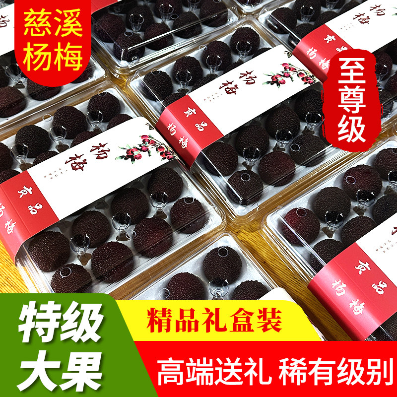 送领导送朋友至尊级新鲜杨梅特甜余姚慈溪荸荠水果现摘现发礼盒装