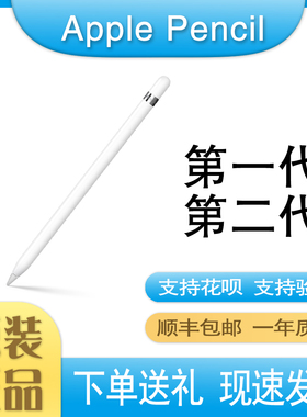Apple/苹果 Pencil 一代二代/USB-C/Pro手写笔 ipad applepencil2