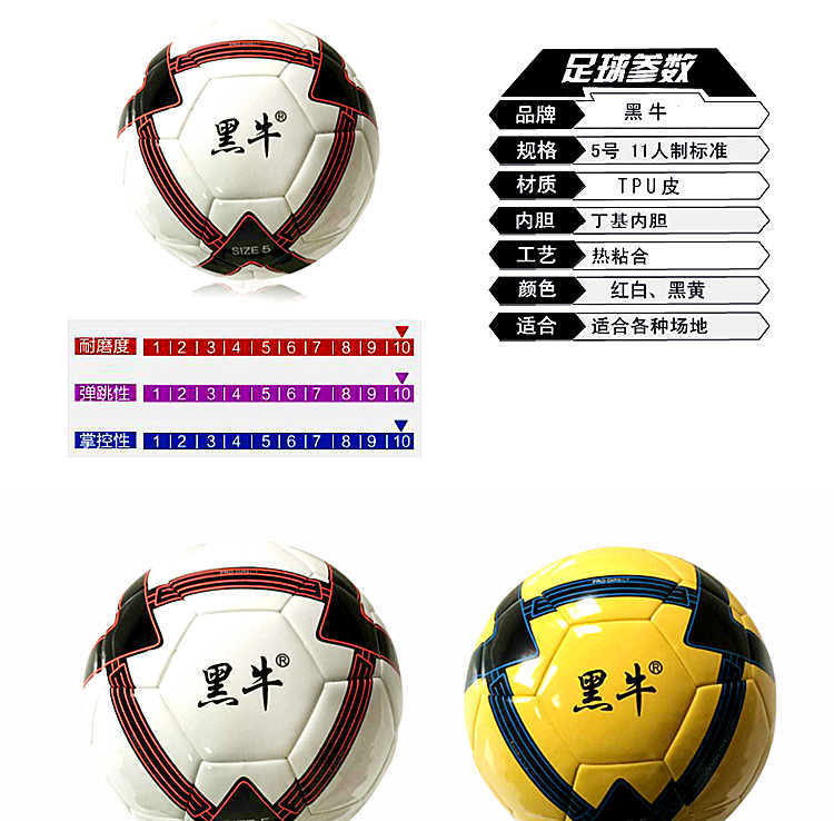 Ballon de foot - Ref 5787 Image 5