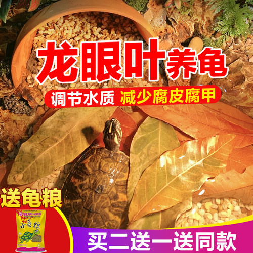 龙眼叶养龟乌龟专用南美缸造景草龟躲避屋龟缸造景树叶巴西龟冬眠