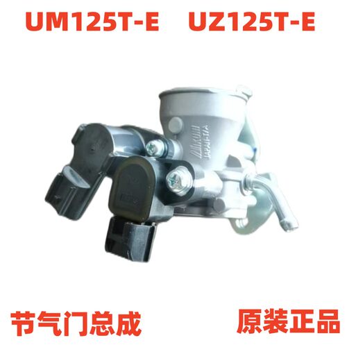 红宝摩托车节气门总成原装正品