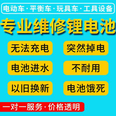 维修电动车锂电池组24v36v48v捷安特星恒电源海霸银鱼款手提电瓶
