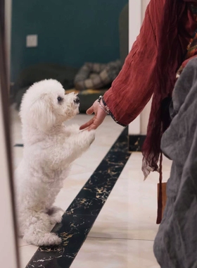 MMBL慢慢变蓝荼文艺设计师款植物染真丝围巾3534长2米