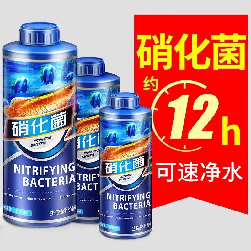 疯狂水草硝化细菌养鱼用品净化