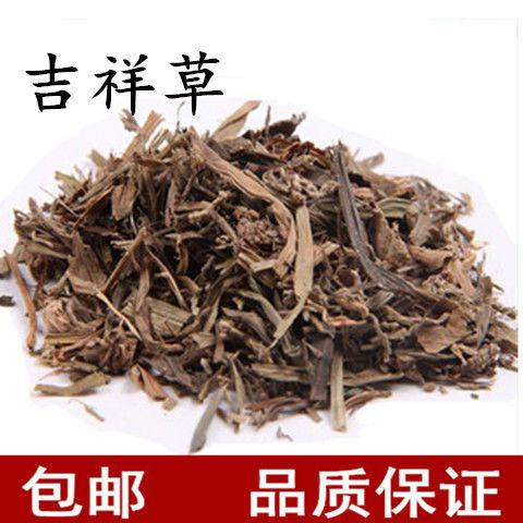 正品观音草 中药材野生吉祥草 晕草 小叶万年青 玉带草