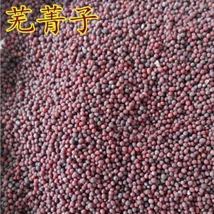 中药材 芜菁子 芜菁籽 干净 500克 包邮