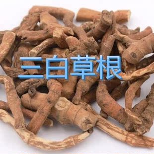 三白草根中药材 三白草天性草根 百节藕 白花莲 塘边藕包邮
