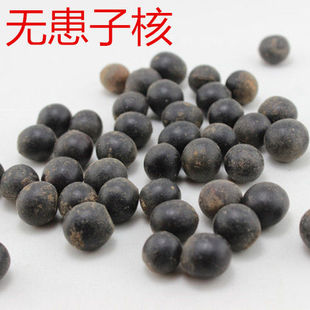 无患子核 木患子仁 鬼见愁 木槵子菩提子 包邮
