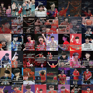 64张莎头cp语录贴纸乒乓运动员孙颖莎行李箱手机壳笔记本装饰贴画