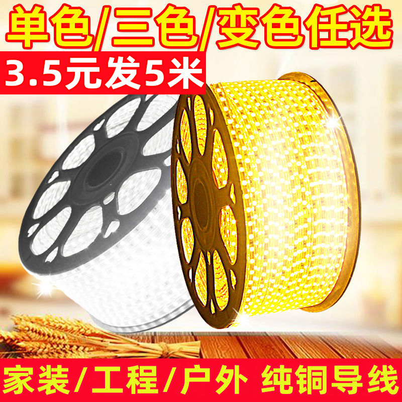 LED灯带家用客厅吊顶装饰2835软彩灯条超亮三色变光户外防水220v 家装灯饰光源 室外LED灯带 原图主图