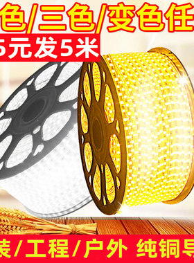三色变光吊灯灯带户外防水