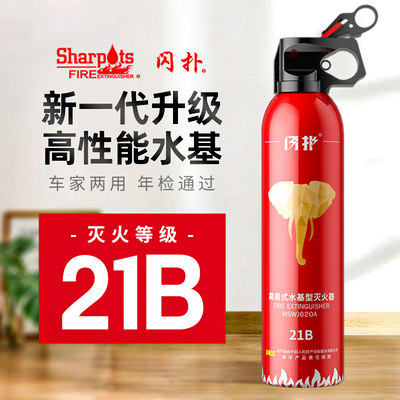 车载灭火器21B水基家用车用小型