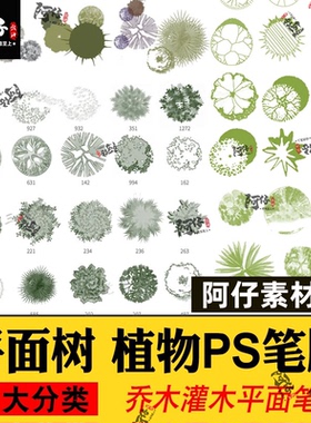 平面树植物ps笔刷小清新水彩树乔木灌木总平面图灰色彩平植物笔刷