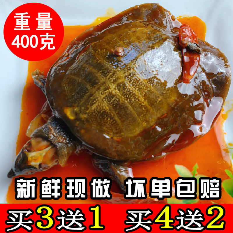 麻辣甲鱼肉熟食开袋即食整只甲鱼水鱼团鱼憋网红食用卤小甲鱼王八