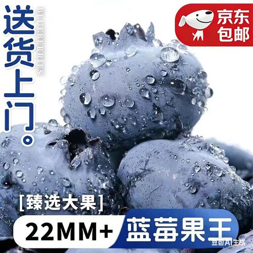 丹东蓝莓鲜果新鲜应当季水果