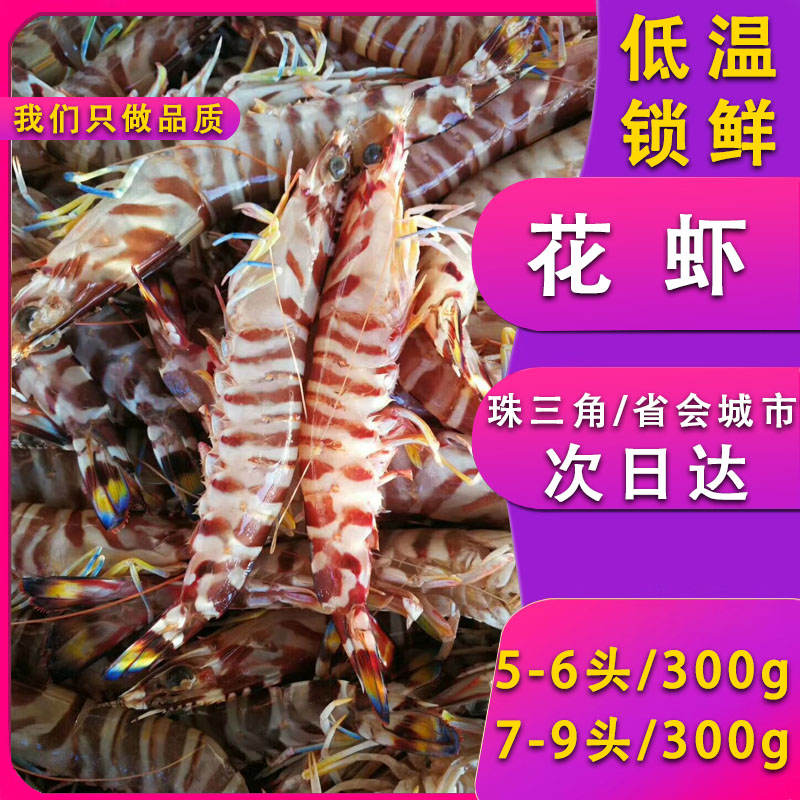新鲜冷冻花虾斑节虾生冻竹节虾九节虾对虾海虾海鲜水产虾类食材