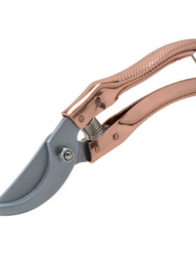 威特力 金属柄果枝剪 树枝剪 果剪 园艺剪 枝剪 园艺剪 WTL-ZJ026