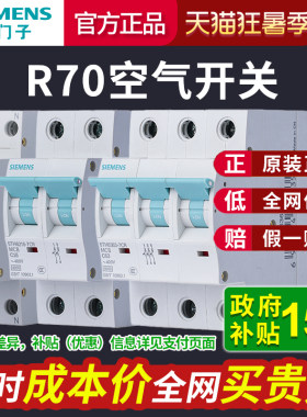 西门子R70空气开关小型过载短路断路器1P 2P1P+N10A-63A空开