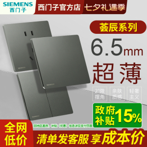 西门子插座开关面板家用超薄哑光奶油风荟绎深灰银五孔带开关双控