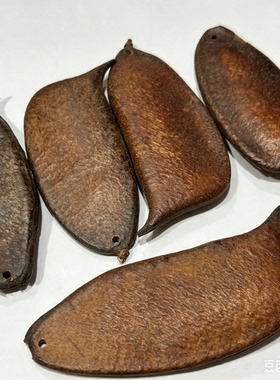 天然果壳音符豆苏木果工艺品果实挂饰手工制作装饰材料手作DIY