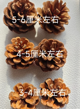 100个松果松塔摆件手工DIY装饰圣诞松果幼儿园环创手工画制作材料