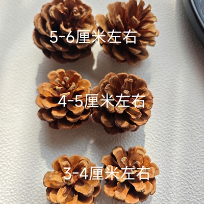 100个松果松塔摆件手工DIY装饰圣诞松果幼儿园环创手工画制作材料