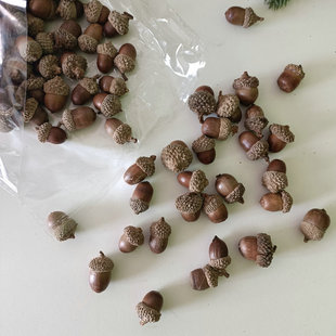 【橡果】橡子橡果装饰手工干花挂件文艺干花干果插花橡果带钉可挂