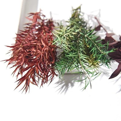 永生花千层金干花配草香薰蜡烛圣诞花环藤圈点缀材料Diy居家装饰