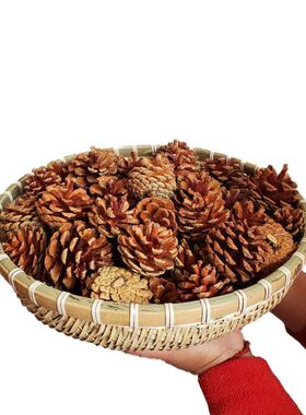 松果天然干花树枝装饰手工制作zakka幼儿园diy红果松针圣诞节材料