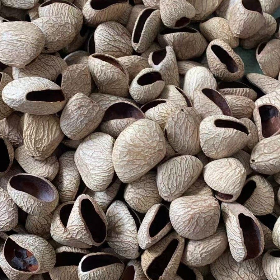 印尼进口植物果壳风铃diy材料包已打孔抛光摇铃包挂配件手工果壳,家居饰品,干花/花瓣/干花包/干树枝,淘宝优惠券,粉丝福利购,淘宝优惠卷