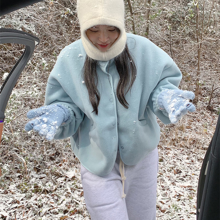 韩国东大门INS博主推荐款颜色超美百搭简约毛绒立领卫衣短外套女