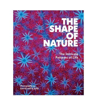 【预售】自然的形态:生命的精妙图式 The Shape of Nature: The Intricate Patterns of Life 原版英文摄影作品集自然景观图书