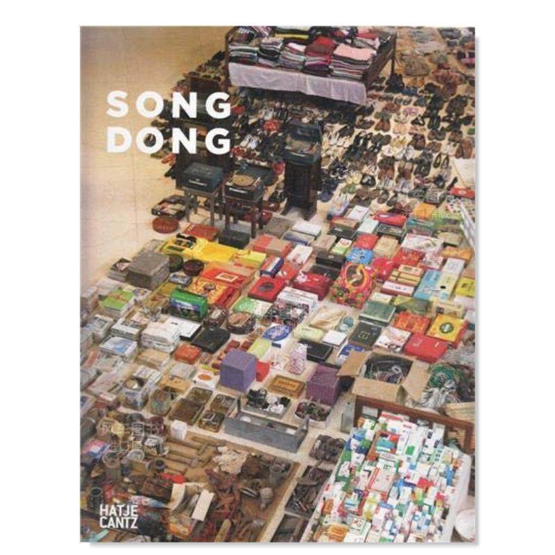 【现货】中国艺术家:宋冬 song dong英文原版图书进口外版书籍