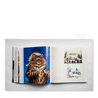 【 Pre-sale 】 Louis Wain's Cats, Chris Beetles, original English cat illustration collection, Art album, Picture book, Painting collection thumbnail 3