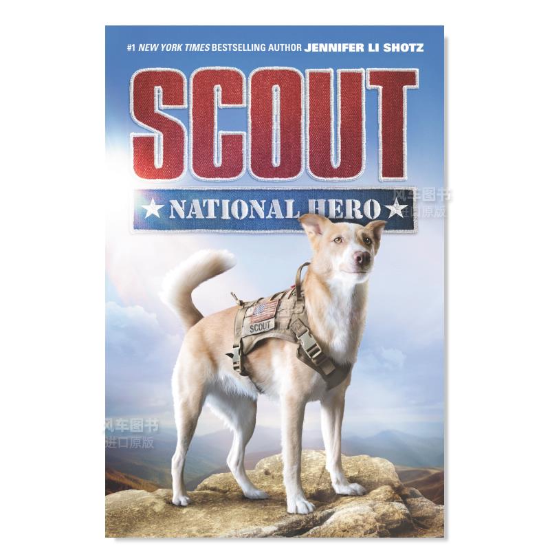 童子军民族英雄ScoutNation