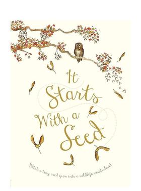 【预售】从一颗种子开始 It Starts With a Seed 原版英文儿童绘本图书