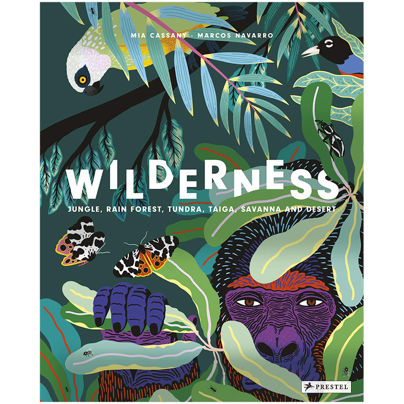 【现货】Wilderness 荒野：丛林,雨林,苔原,大河,稀树草原和沙漠 英文原版 科普认知绘本进口图书书籍