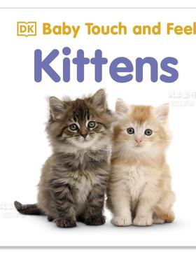 【预售】【Baby Touch and Feel】Kittens，【触摸书】小猫英文儿童趣味 原版图书外版进口书籍