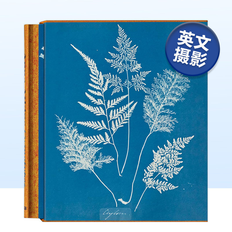 安娜·阿特金斯：蓝晒法