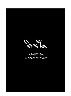 【预售】Tauba Auerbach陶芭·奥尔巴赫艺术作品集画册：SVZ 英文原版进口书籍