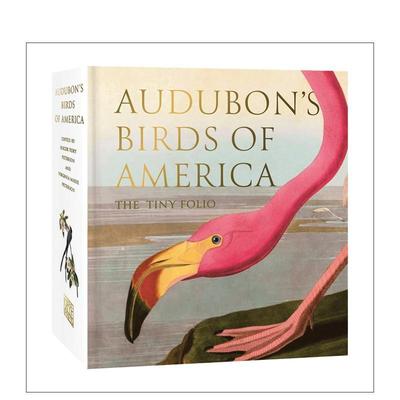 【预售】奥杜邦的美国鸟类：袖珍版 Audubon's Birds of America:The Tiny Folio 原版英文社会科学图书书籍