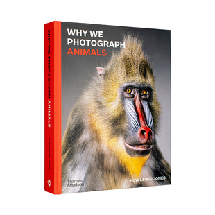 【现货】为何拍摄动物 Why We Photograph Animals 原版英文摄影自然景观 进口图书