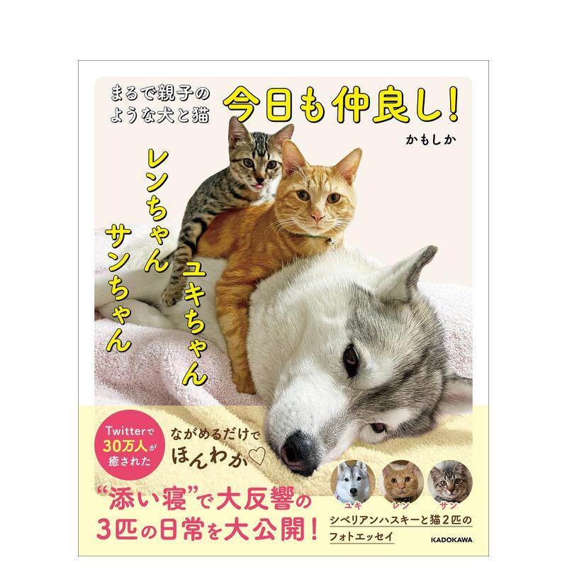 【现货】亲密无间的猫咪与狗狗写真集 まるで亲子のような犬と猫 今日も仲良し! ユキちゃん レンちゃん サンちゃん日文生活方式原