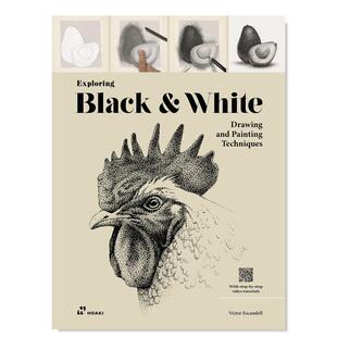 Exploring Black 进口艺术图书籍 现货 艺术技法与入门赏析 英文原版 探索黑白：绘画技巧 White