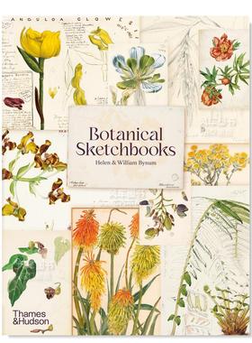 【预售】植物写生 Botanical Sketchbooks英文艺术技法与入门赏析 原版图书外版进口书籍Helen Bynum and William Bynum