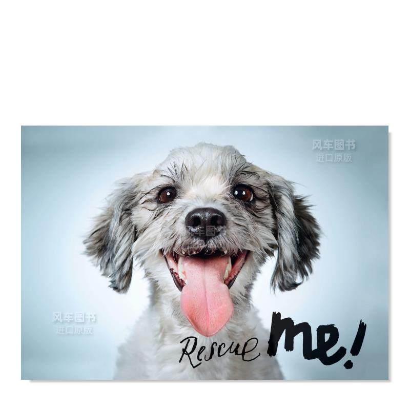 【现货】拯救我:纽约的狗狗收养肖像和故事 rescue me: dog adoption