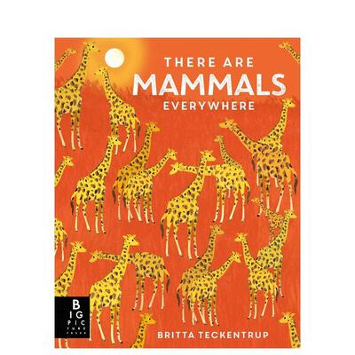 【预售】随处可见的哺乳类动物（平装） 【Britta Teckentrup Everywhere】There are Mammals Everywhere 原版英文儿童绘本图书