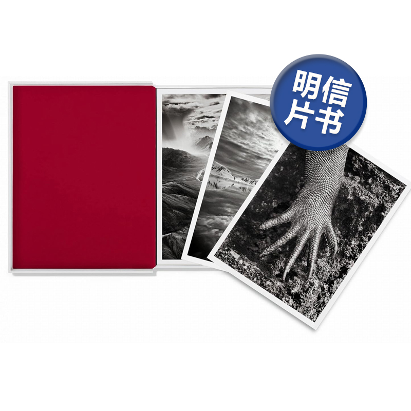塞巴斯蒂昂·萨尔加多创世纪明