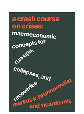 【预售】危机关键领域速成课程:宏观经济概念 A Crash Course on Crises 原版英文商业行销图书书籍