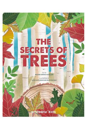 【预售】树木的生命 Lives Of Trees 英文原版儿童绘本3-6岁进口英语启蒙读物知识百科书籍 Novellino  Castelnuovo  Figus